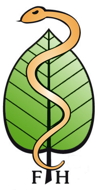 logo mit fh 190h